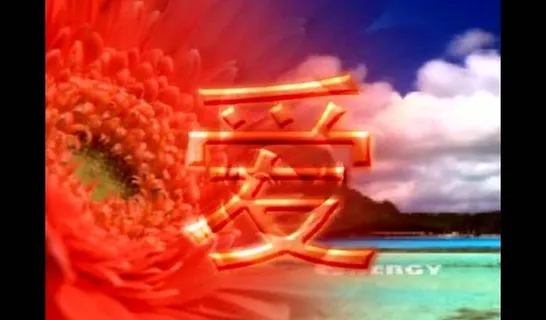 婚礼视频素材图片