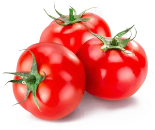 美味的番茄水果