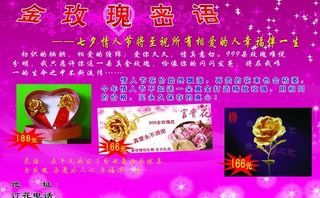 金玫瑰图片