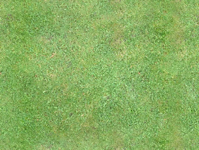 草地