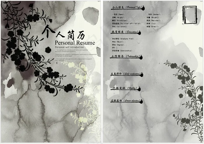 水墨个人简历