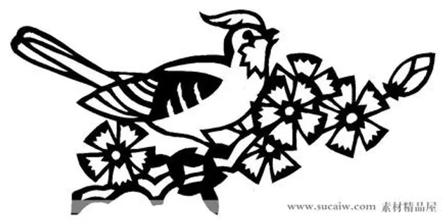 鸟雀图片 鸟雀图片