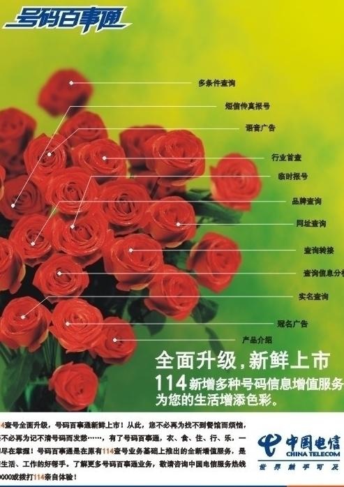 中国电信114号码百事通形象广告玫...cdr矢量模版下载