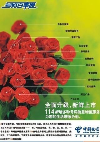中国电信114号码百事通形象广告玫...