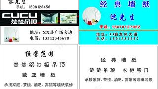 楚楚吊顶 经典墙纸图片