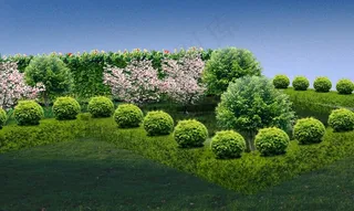 绿化景观设计图片