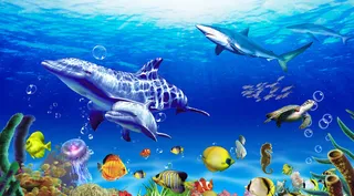 海底世界图片
