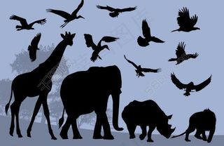 动物剪影图片
