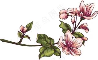 矢量发展分公司