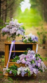 花艺高清摄影图片