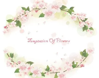 韩国植物装饰边框矢量图11