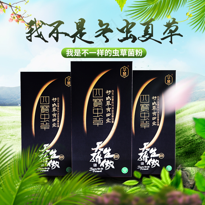 绿色淘宝主图设计模板PSD下载psd模版下载