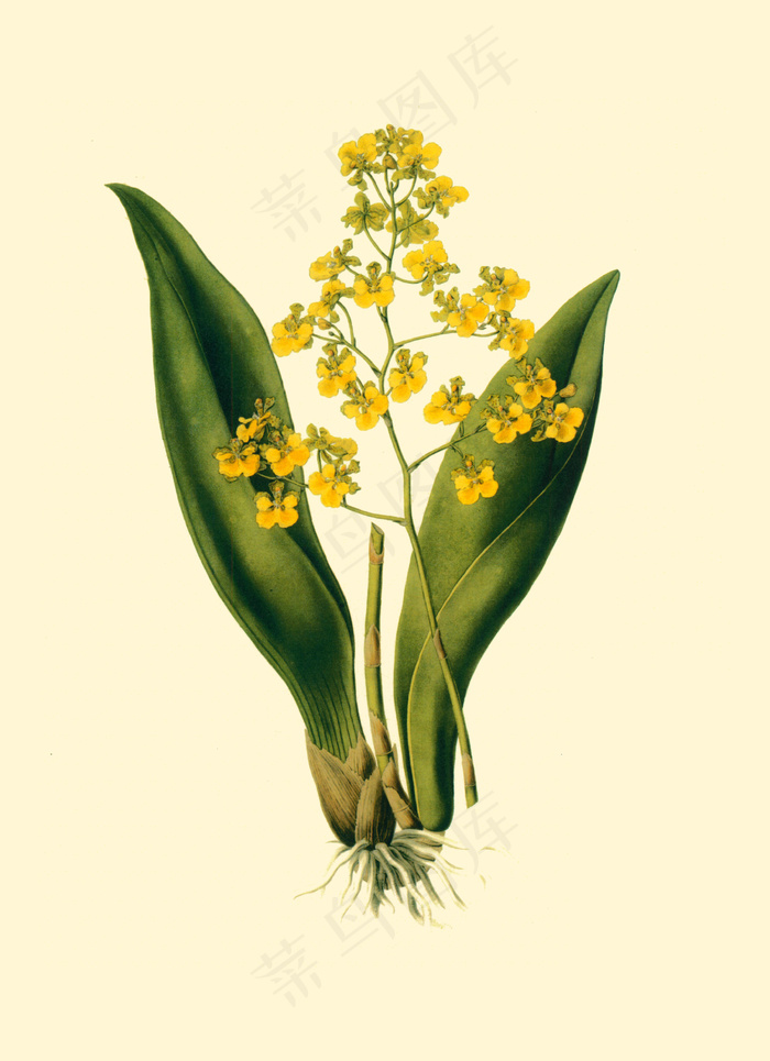 美克美家复古装饰画图片