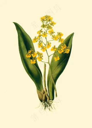 美克美家复古装饰画图片