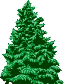 松柏 树木 植物 图案 矢量 AI...