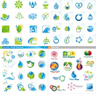 矢量绿叶与水滴