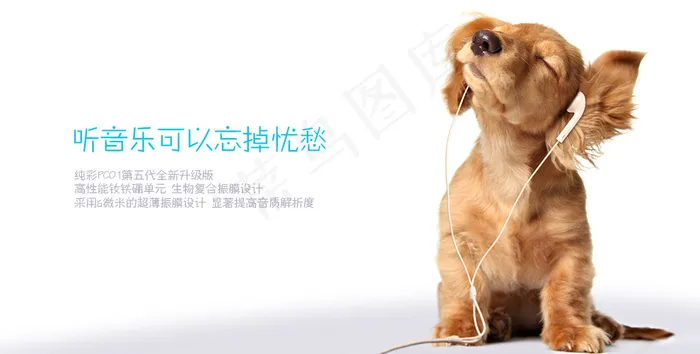 狗狗听音乐PSD海报psd模版下载