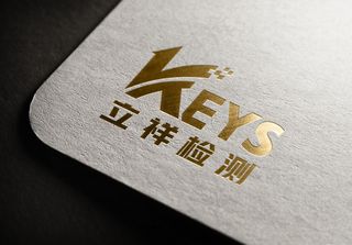 金色LOGO样机