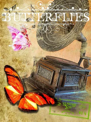 老唱片机与蝴蝶油画图片