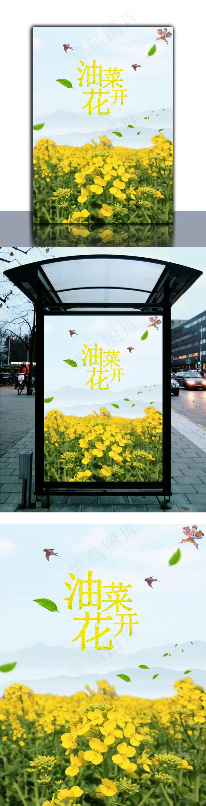 油菜花开海报psd模版下载