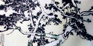 白皮松国画