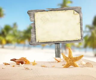 唯美的沙滩海边景色