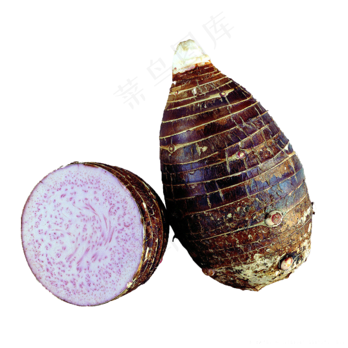 透明免扣芋头元素