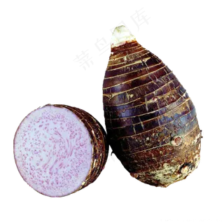 透明免扣芋头元素