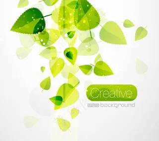 春天是绿色的树叶02——矢量素材春叶静脉