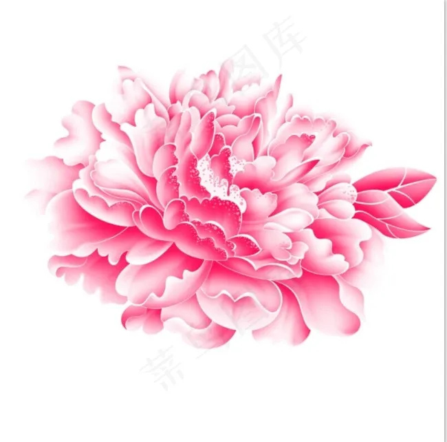 牡丹花psd模版下载