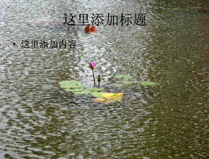 博鳌风景如画ppt(6)