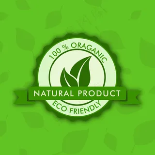 用树叶和文本100有机上漂亮的绿色叶子背景自然观 用树叶和文本100有机上漂亮的绿色叶子背景自然观