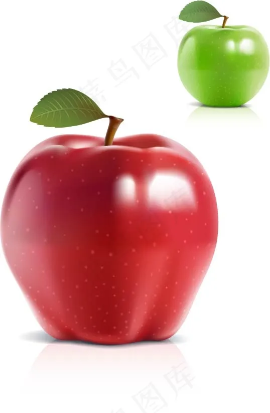 可与照片媲美的青苹果和红苹果矢量素...eps,ai矢量模版下载