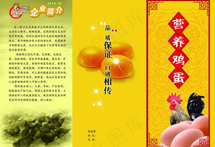 营养鸡蛋三折页图片psd模版下载