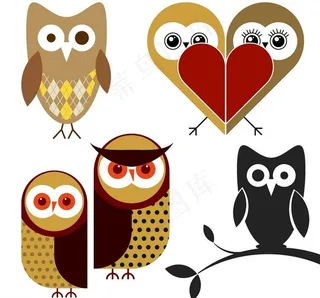 情人节猫头鹰图片