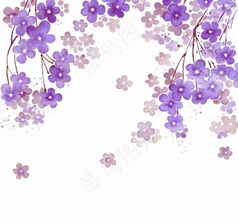 紫色唯美花 紫色唯美花