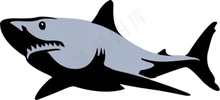 鲨鱼