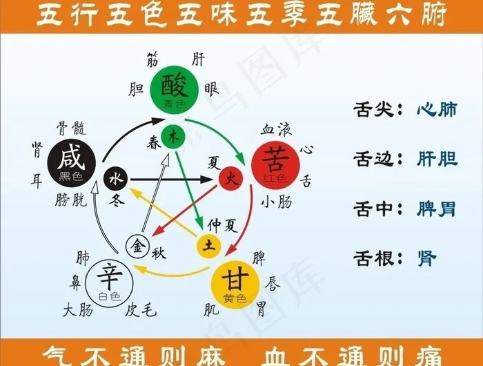 中医五行图图片cdr矢量模版下载
