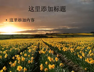 那些花儿背景图片PPT(2)