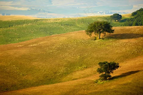 秋天草原上的树木风景 秋天草原上的树木风景