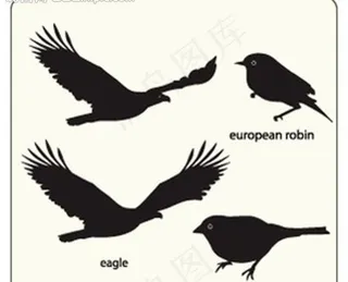 鸟类剪影图片