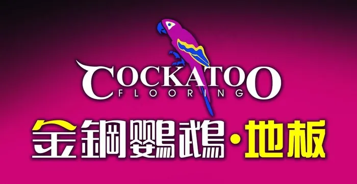 金刚鹦鹉图片