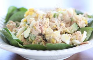 金枪鱼沙拉图片