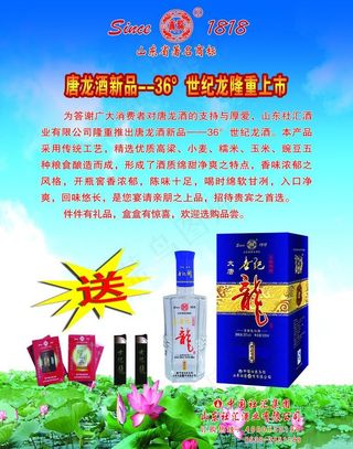 世纪龙宣传图片