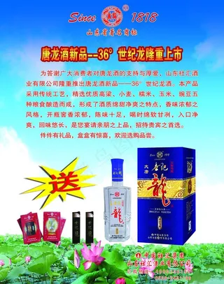 世纪龙宣传图片