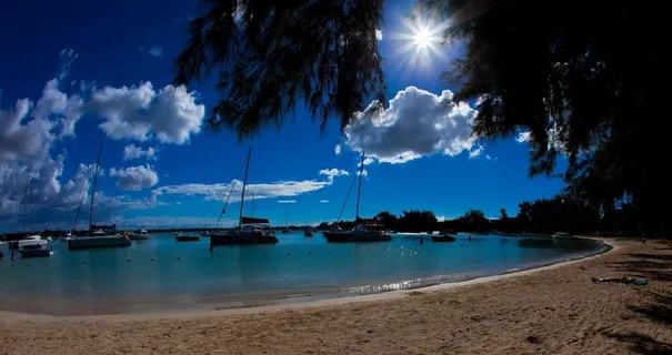 月光下的海港图片