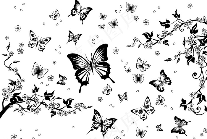 蝴蝶和花纹矢量图图片