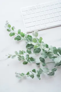 简约小清新文艺风插花静物摆拍背景