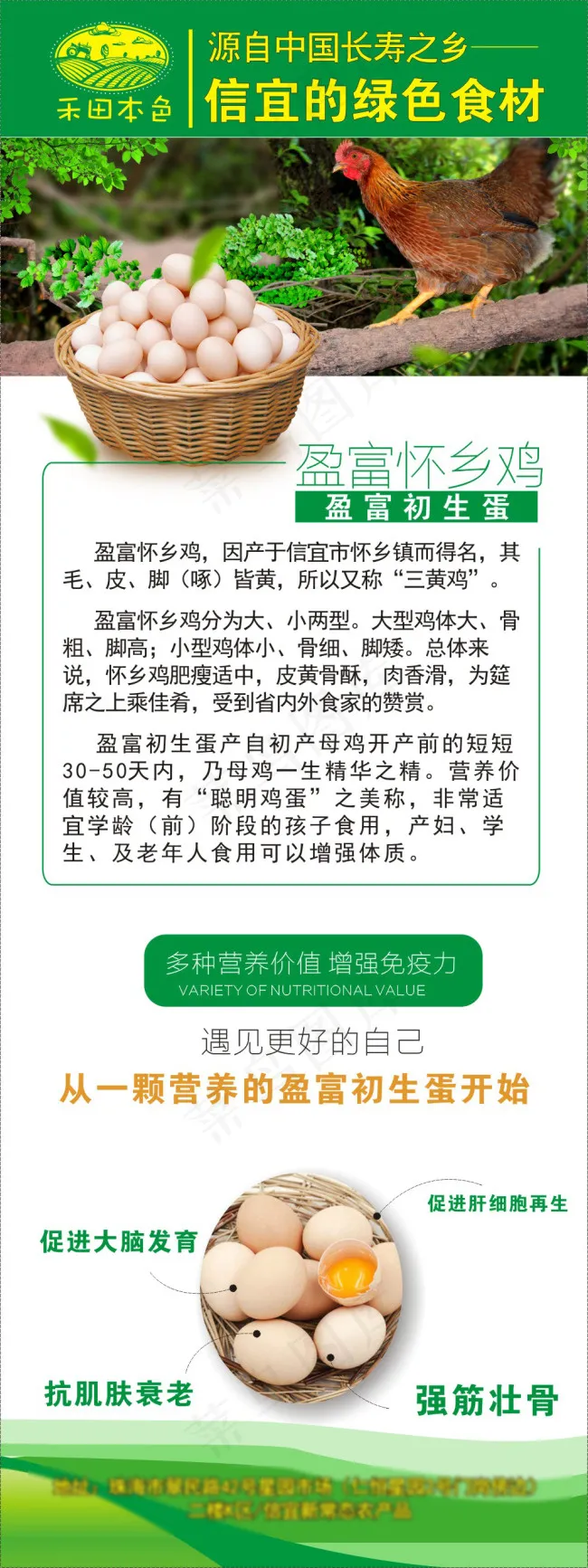 天天信宜绿色食材盈富怀乡初生蛋X展...cdr矢量模版下载