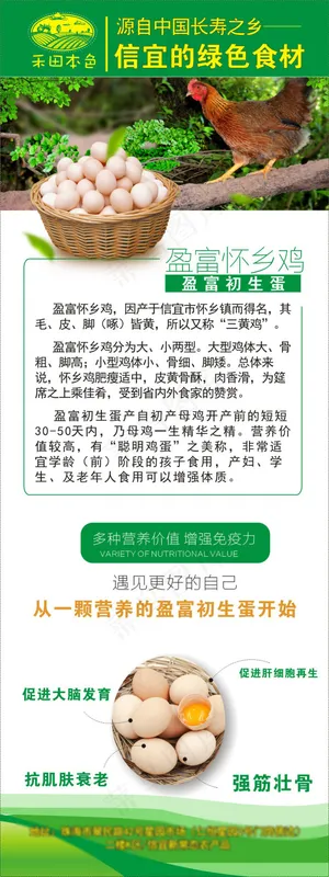 天天信宜绿色食材盈富怀乡初生蛋X展...